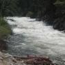 Grizzly Falls 