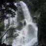Grizzly Falls 