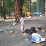 Moraine Campsite 