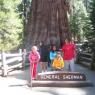 Sequoia National Forest