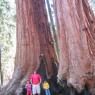 Sequoia National Forest