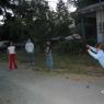 2003