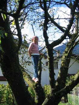 IMG_8846