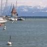 Morges Tulip Days