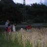2005