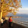 Promenade by the Lake