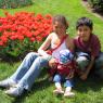 Tulipe festival
