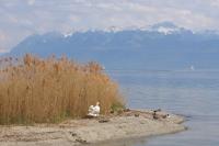 IMG_9485