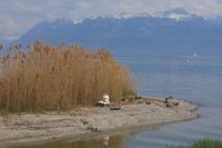 IMG_9486