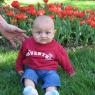 Tulipe festival