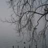 First of Spring