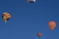 IMG_8260