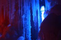IMG_7954