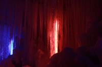 IMG_7957