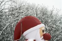 IMG_7675santa
