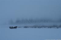 IMG_7717