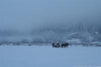 IMG_7719