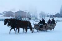 IMG_7751horsecarriage