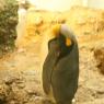 03_Basel Zoo