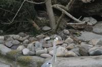 Copy of IMG_9842