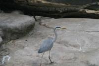 Copy of IMG_9843