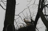 Copy of IMG_9844