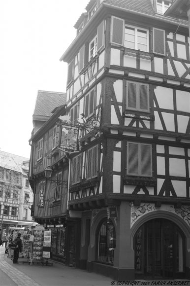 Copy of IMG_9655