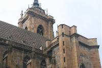 Copy of IMG_9661