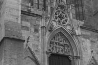 Copy of IMG_9666
