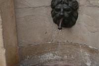 Copy of IMG_9717