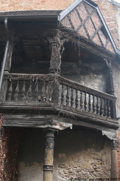 Copy of IMG_9723