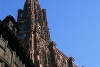 IMG_9147