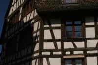 IMG_9052