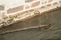 IMG_9094