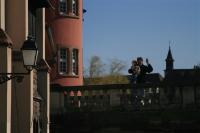 IMG_9110