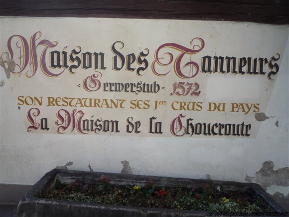 P1050367