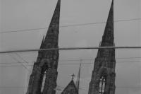 IMG_9530