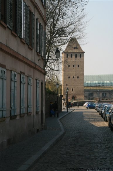 IMG_9281