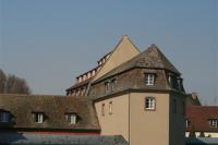 IMG_9323