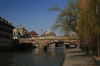 IMG_9331