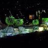 09_Dinosaurs