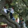 09_Mainau