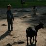 09_Mainau