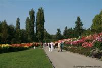 IMG_8089