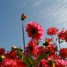 09_Mainau