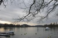 IMG_4555