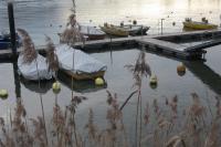IMG_4570