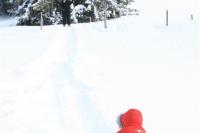 IMG_0568